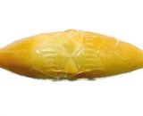 oscypek duzy wedzony Piknik Express - Online Polish Online Grocery Shop