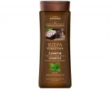 JOANNA Tradycyjne Receptury Szampon wlosy przetluszczajace sie Pokrzywa i Czarna Rzepa 300ml Piknik Express - Online Polish Online Grocery Shop