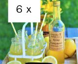 syrop cytrynowy Piknik Express - Online Polish Online Grocery Shop