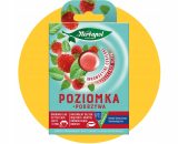 2bf828254866abd9d5b94ec27aa3 Piknik Express - Online Polish Online Grocery Shop